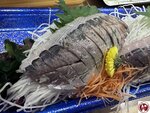 IMG_E8876 (複製)