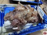IMG_E9060 (複製)