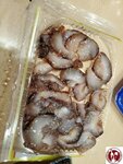 20250127_200430 (複製)