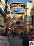 20250129_151042 (複製)