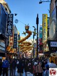 20250129_154717 (複製)