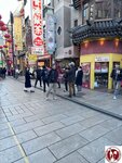 IMG_8709 (複製)