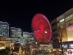 20250129_192515 (複製)