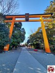 20250130_143533 (複製)