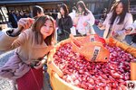 DSC09264-1 (複製)