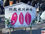 IMG_8845 (複製)