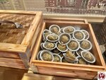 IMG_3890 (複製)