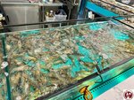 IMG_3901 (複製)