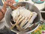 IMG_3912 (複製)
