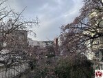 IMG_8032 (複製)