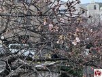 IMG_8033 (複製)