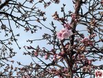 IMG_8035 (複製)