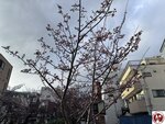 IMG_8038 (複製)