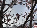 IMG_8039 (複製)
