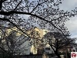 IMG_8044 (複製)