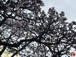 IMG_8047 (複製)