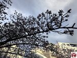 IMG_8048 (複製)