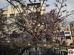 IMG_8053 (複製)