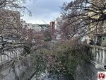 IMG_8054 (複製)