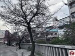 IMG_8066 (複製)