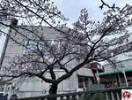 IMG_8068 (複製)