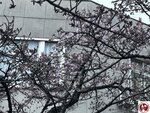 IMG_8069 (複製)