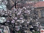 IMG_8072 (複製)