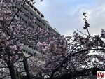 IMG_8073 (複製)