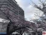 IMG_8076 (複製)