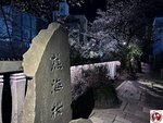 IMG_8205 (複製)