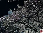 IMG_8207 (複製)