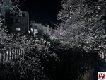 IMG_8208 (複製)