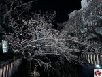 IMG_8216 (複製)