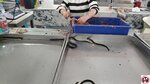 20250423_122655 (複製)