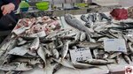 20250423_122723 (複製)