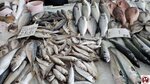 20250423_122805 (複製)