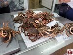 20250423_130329 (複製)