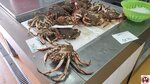 20250423_130726 (複製)
