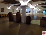 20250424_160427 (複製)