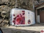 20250421_163304 (複製)