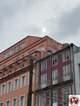 20250420_171957 (複製)