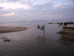 IMG_3626