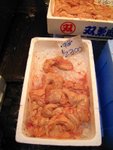 IMG_4667