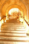 image0024
