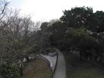 IMG_6920