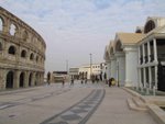 IMG_6978
