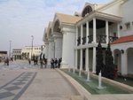 IMG_6980