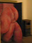 IMG_7587