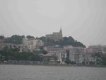 IMG_7528