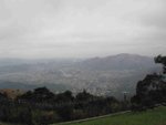 IMG_7798